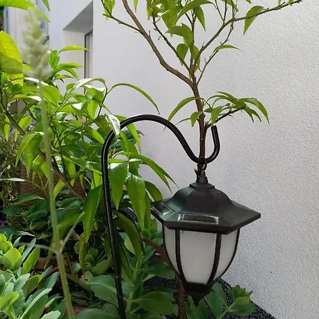 Апартаменты Anita Hure Хвар